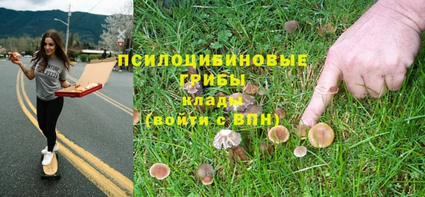 спайс Алзамай