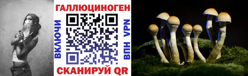 Псилоцибиновые грибы мухоморы  где купить наркоту  Чебаркуль 
