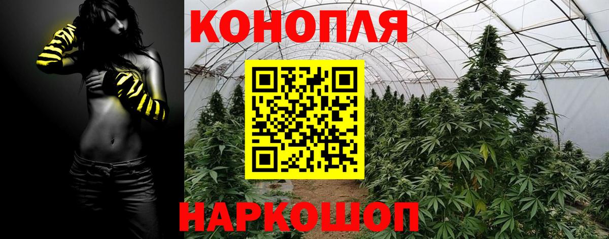 Шишки марихуана семена  Марихуана индика  Каннабис сатива  Чебаркуль  МАРИХУАНА конопля  Вход с VPN 